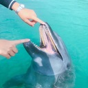 株道場ファイナンス