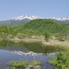 乗鞍高原 心がほっとする美しい自然。５月 芽吹き