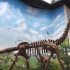 遼寧古生物博物館（Paleontological Museum of Liaoning）に恐竜の化石を見に行く