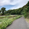 違和感。