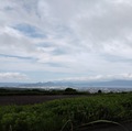 東名高速【駿河湾沼津下りSA】は駿河湾が一望できる