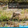 “Our House”――Birders' Songs #028（野鳥と音楽を愛する人のためのプレイリスト）