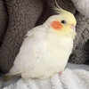 赤ちゃんからの歯並び