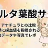 ベルタ葉酸サプリとディアナチュラを比較｜看護師ママが実際に飲んだ体験談