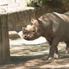 横浜金沢動物園8