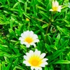 ６月２２日