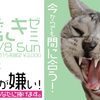 【セミナー開催】今からでも間に合う！猫様のための歯磨きゼミ