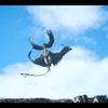 Final Fantasy ⅩⅤ＜１３５＞