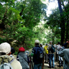 城山探鳥例会　2012年11月