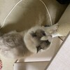 Y子と猛スピードで追いかけっこ