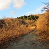 谷隧道　（仮）谷峠林道　福井県側　後編