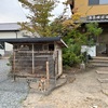 犬小屋の場所を変えました。