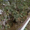 長野市水害　立ヶ花駅