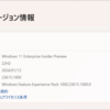 Windows 11 Insider Program Build 23615 リリース