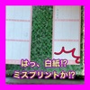 氷室神社！氷みくじに挑戦だ！
