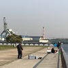 半田店発　武豊緑地公園調査に行ってきました