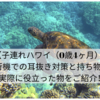 【子連れハワイ（0歳4ヶ月）】飛行機での耳抜き対策と持ち物は？実際に役立った物をご紹介！