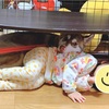 犬を飼う上で考えてた事と現実（小さい子どもがいる家庭ver）