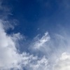 答え合わせ