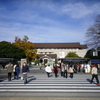 5.東京国立博物館