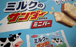 記事を見る