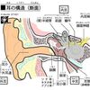 突然耳が聴こえなくなった方々は夜中でもタクシーで緊急外来へGO!　突発性難聴（とっぱつせいなんちょう）