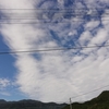 爽やか秋空　畑日和　かぶの種まき