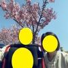 花見