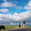 雲の通い路