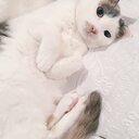 なんとんつくれん