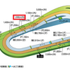 土曜競馬　展望