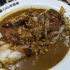 ホロ肉ドカンと豪快カレー