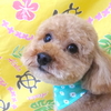 心くん