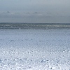 接岸前の網走の海