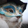 今度はオシッコが出ないってか？(o_ _)o