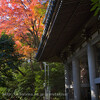 山崎聖天・観音寺