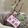 まちなかで買った山田の啓翁桜《年末年始ふりーきっぷ旅・その４》