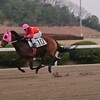 転厩２戦目で変わり目を見せ圧勝！