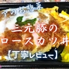 ベイシアのお惣菜『三元豚のロースカツ丼』は王道ながら高コスパでした【丁寧レビュー】