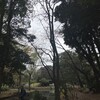 森林公園