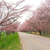 優俊さくらロード・JRA日高育成牧場に行ってきました。