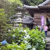 紫陽花神社