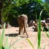 ドイツの動物園