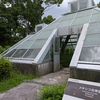 「大阪四大緑地」を訪ねる～鶴見緑地３「山のエリア」国際庭園から大池へ～