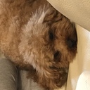 つぶやき。