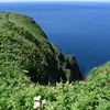 北海道礼文島観光案内：トレッキングコース「桃岩展望台」〜「知床」