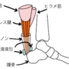 ハードルは低くしておくものよ 覚えててネ