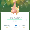 【ポケモンGO】コミュニティディ結果報告【2024年6月ヌメラ】