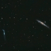 ＮＧＣ４６３１＋ＮＧＣ４６５６：りょうけん座の渦巻銀河