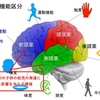 製薬会社が暴露！自閉症スペクトラム障害(ASD)は狙われた遺伝子の欠失によるものか！？